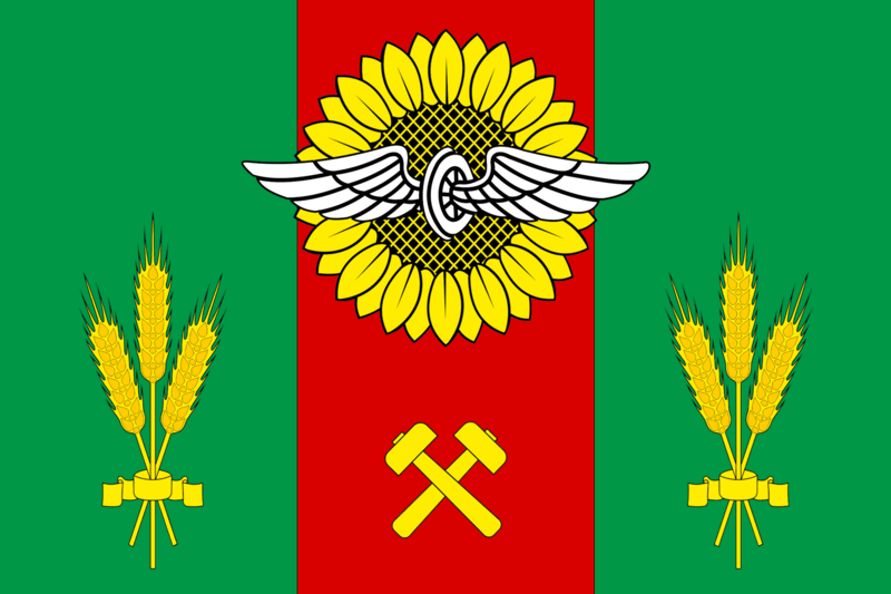 File:Flag of Salsk.png