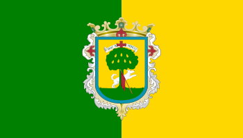 File:Flag of Zapopan.svg