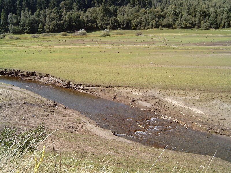 File:Innerste im Stausee.jpg