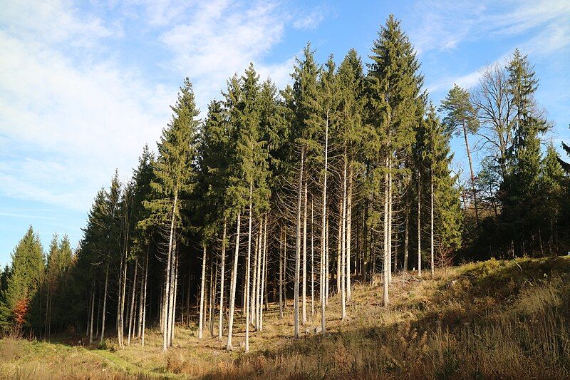 File:Kaiserwald Unterpremstätten 14.jpg