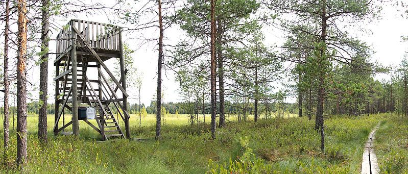 File:Keskisenlampi birdwatching tower.jpg