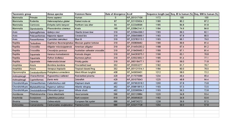 File:PCNX4 Ortholog Chart.pdf