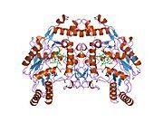 3nse: BOVINE ENOS, H4B-FREE, SEITU COMPLEX