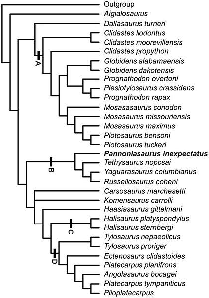 File:Phylogenetic tree Pannoniasaurus.jpg