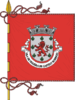 Flag of Figueira de Castelo Rodrigo