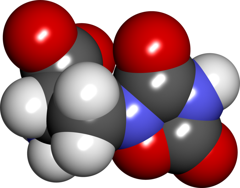 File:Quisqualic acid spacefill.png