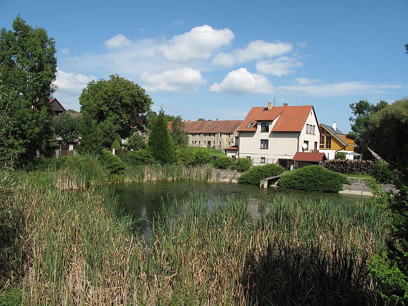 File:Rabyně, rybník.jpg