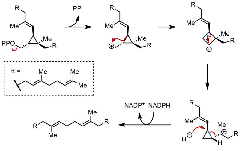 File:SQS Mechanism 2.png