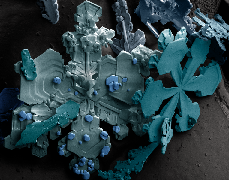 File:Snow crystals.png