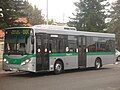 Transperth Mercedes-Benz O405NH diesel Volgren (11.2m)