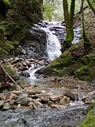 Upper Falls in Uvas Canyon County Park