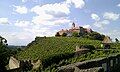 Vineyards on the top of the fortified hill, surrounding the castle proper