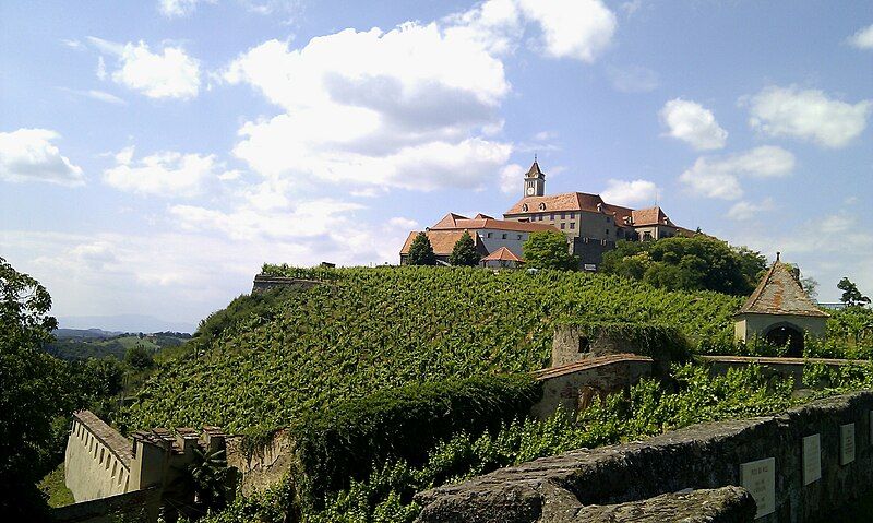 File:Weinberge Riegersburg.jpg