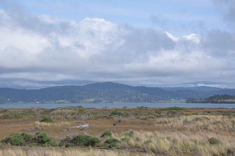 File:Wildlife Area.jpg