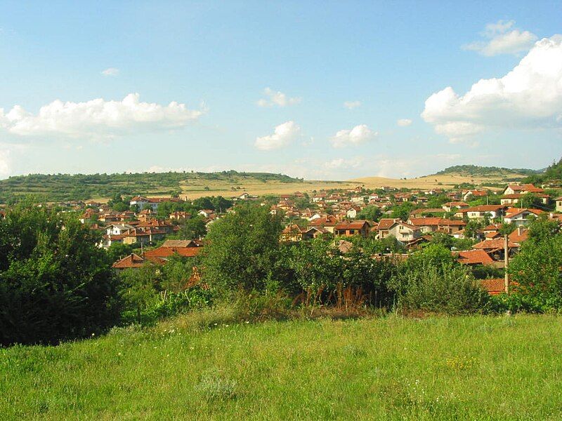 File:Панорама 2005г..JPG