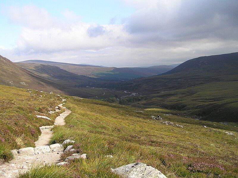 File:Above robber's copse.jpg