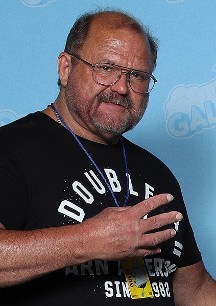 File:Arn Anderson (48481801426).jpg