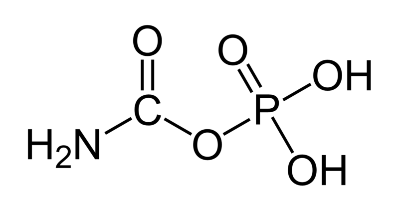 File:Carbamoylphosphate.png