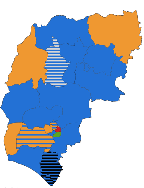 File:ChichesterDistrictelection2019.png