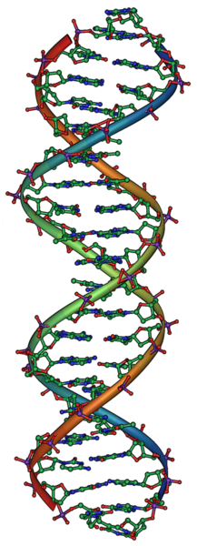 File:DNA Overview2.png