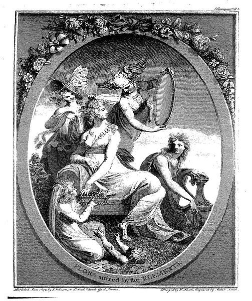 File:DarwinGardenFrontispiece.jpg