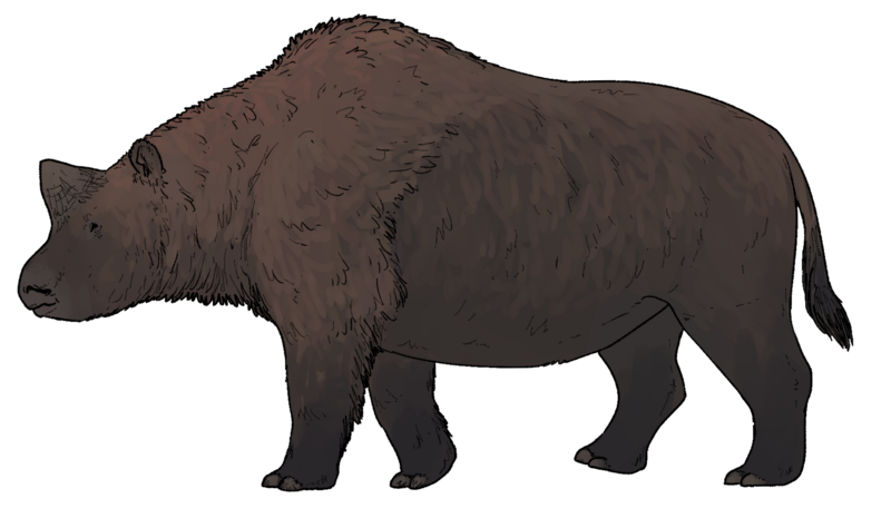 File:Elasmotherium sibiricum.png