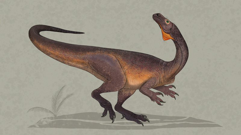 File:Guaibasaurus-mingau.png