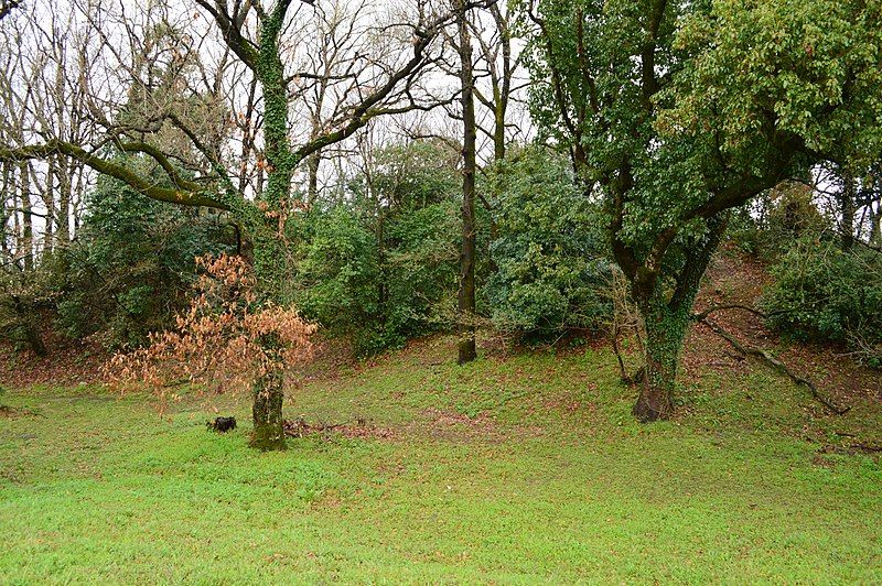 File:Hashinojo Kofun, zenkei.jpg