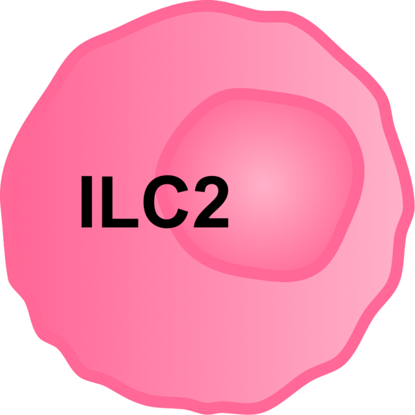 File:ILC Cell 3.png