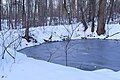 Webb Mountain Park Discovery Zone, Classroom Court pond