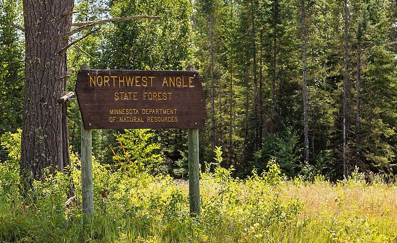 File:NWAngleStateForestMN.jpg