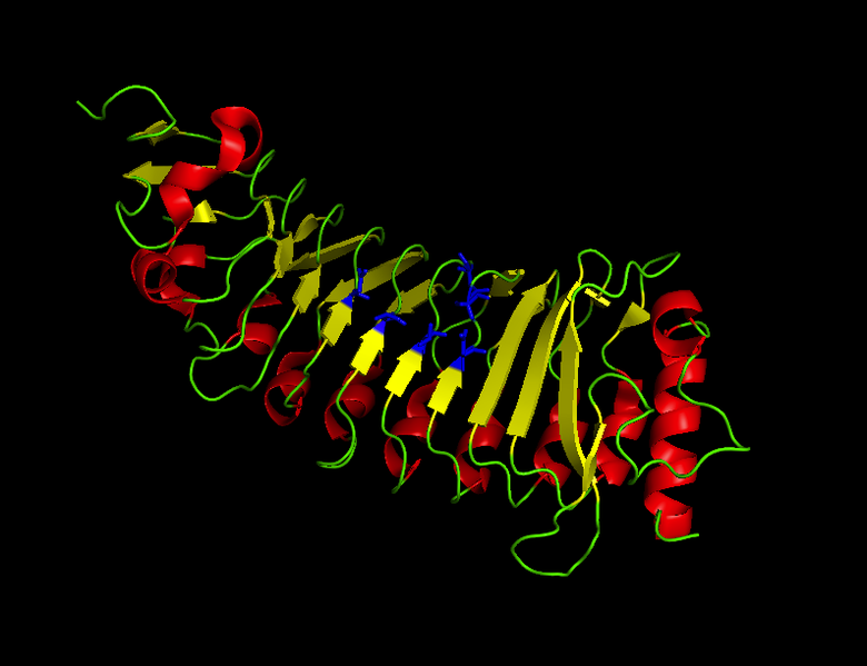 File:PGIP competitive inhibition.png