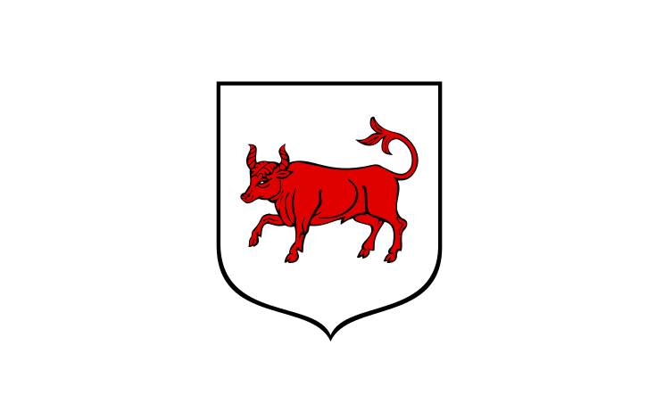 File:POL Turek flag.svg