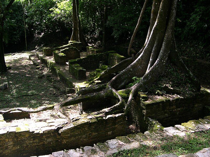 File:Palenque Houses.jpg