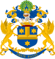 Pauw family coat of arms