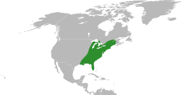 File:Peltandra distribution.svg