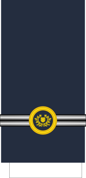 File:Portugal-AirForce-OR-9.svg