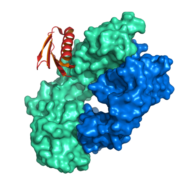 File:Protein L 1MHH.png