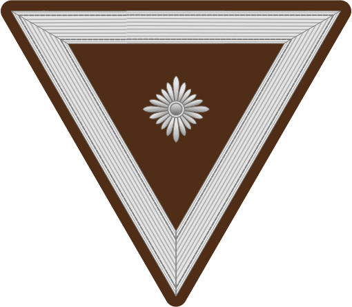 File:RAD-Obertruppfuhrer-patch.svg