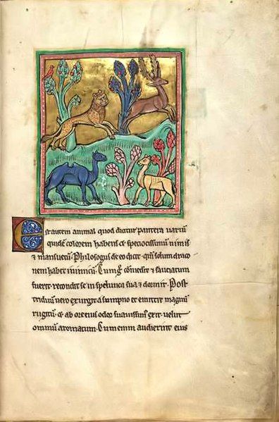 File:RochesterBestiaryFolio007rLeopard.jpg