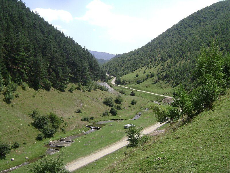 File:Sebeșel Valley, Rășinari.jpg