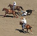 Calgary Stampede