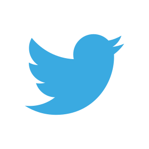 File:Twitter 2012 logo.svg