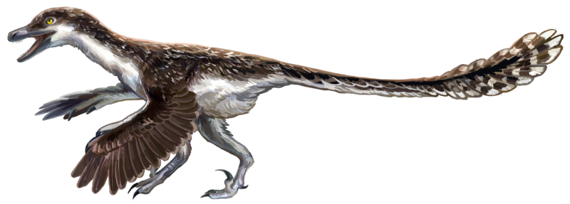 File:Velociraptor recon.png