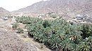 Wadi Maydaq in Fujairah, UAE