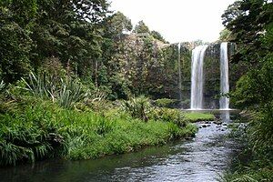 Whangārei Falls