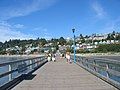 Looking towards shore from the pier.