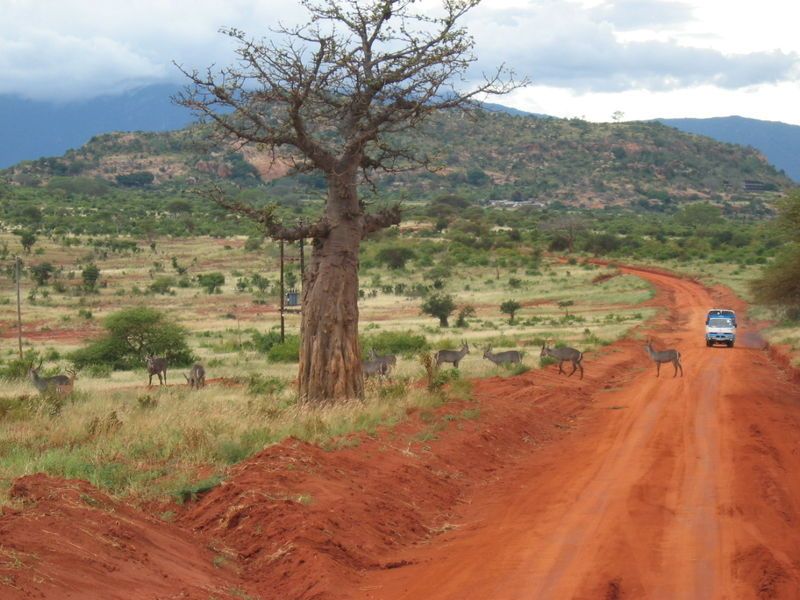 File:African safari route.jpg