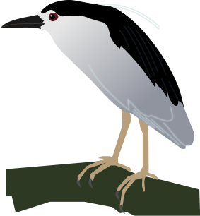 File:Black-crowned Night Heron.svg