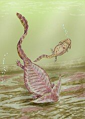 Diplocaulus